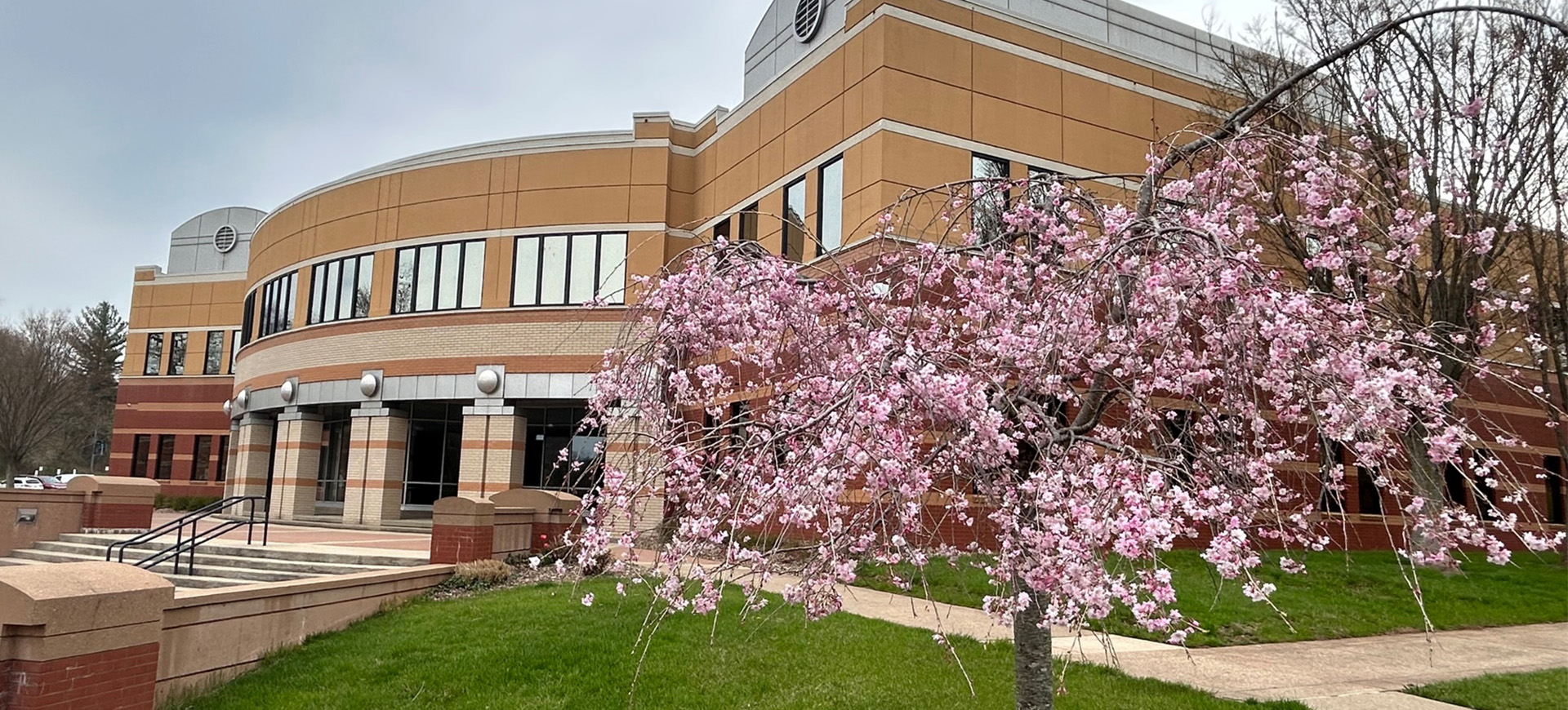 Earlier this year, when Eastern Gateway Community College (EGCC) was forced to halt enrollment, Washington State College of Ohio (WSCO) stepped forward to be a part of the efforts to support the students who were left to find academic alternatives.